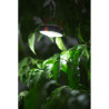 FOCO CREE XP-ER2, 4 PZAS. SMD LED